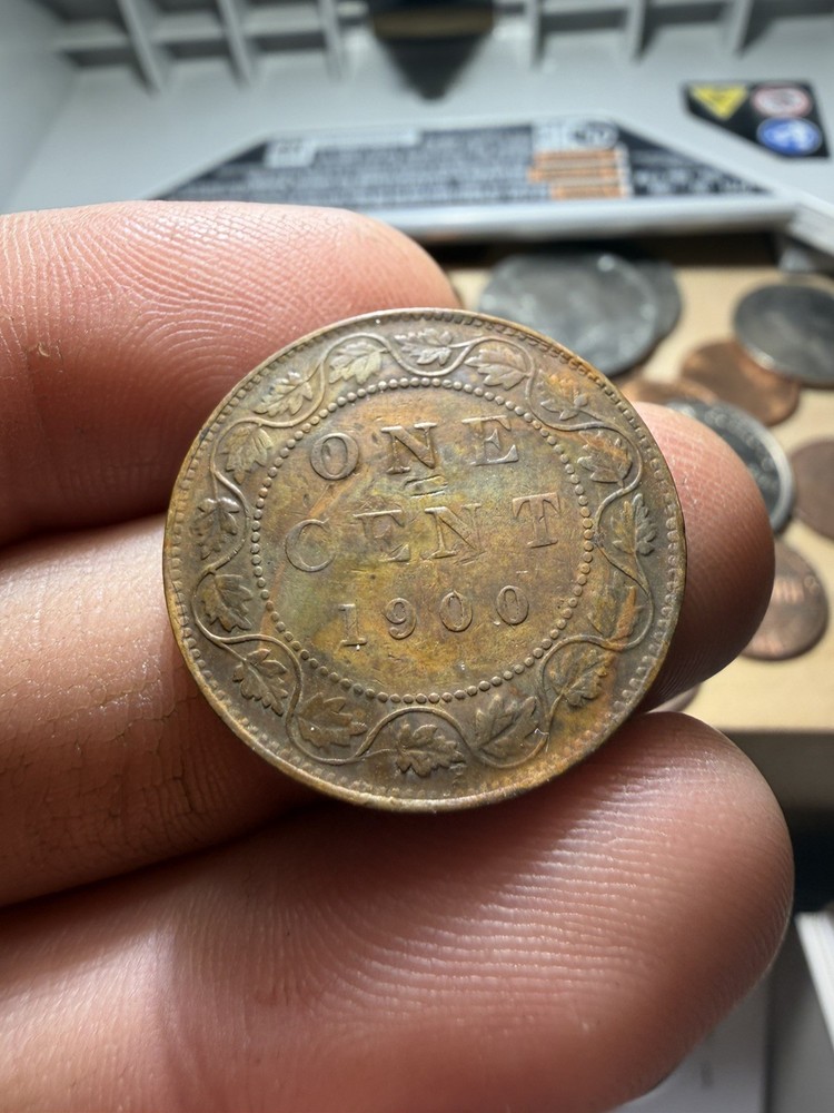 Canada Large Cent Lot