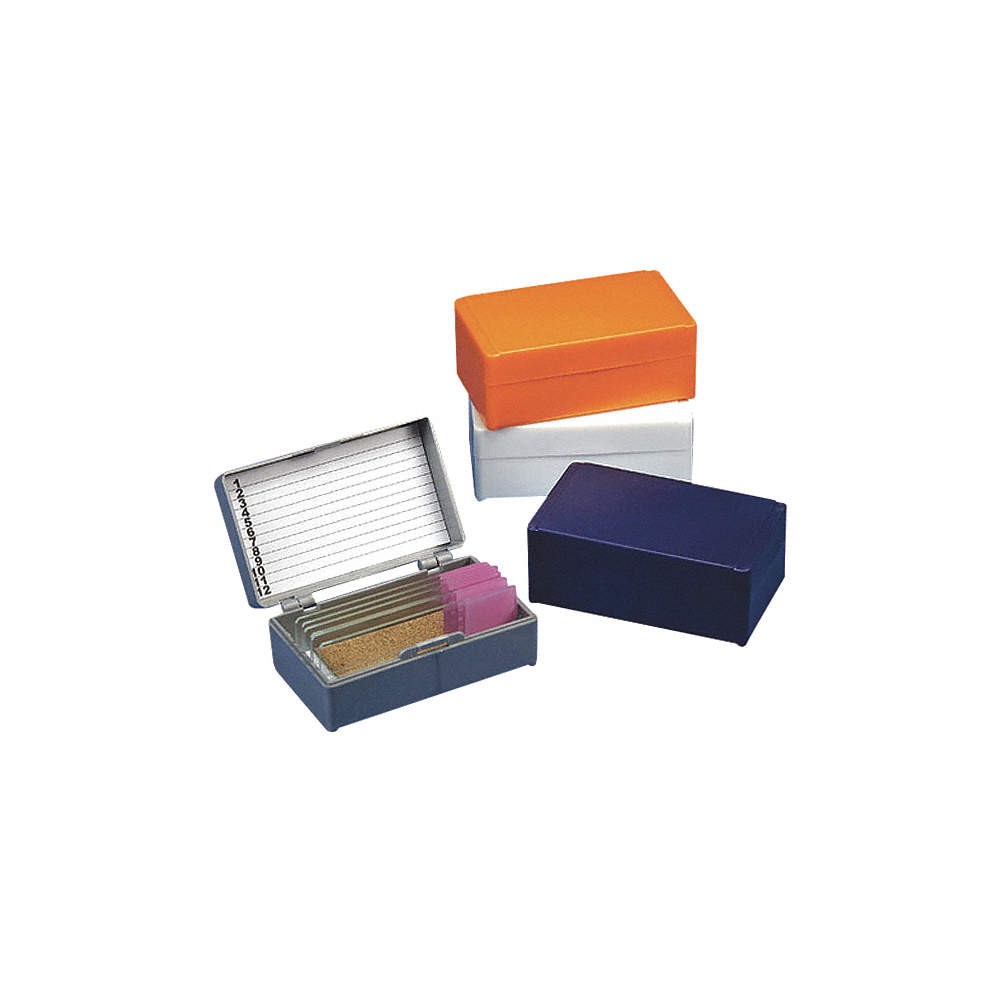 GLOBE SCIENTIFIC  Microscope Slide Box,Gray 55FH50