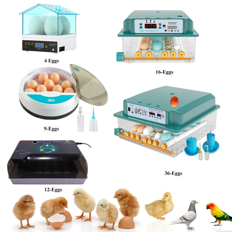 4/12/36Egg Incubator Chicken Hatcher Automatic Egg Turning Temperature Control