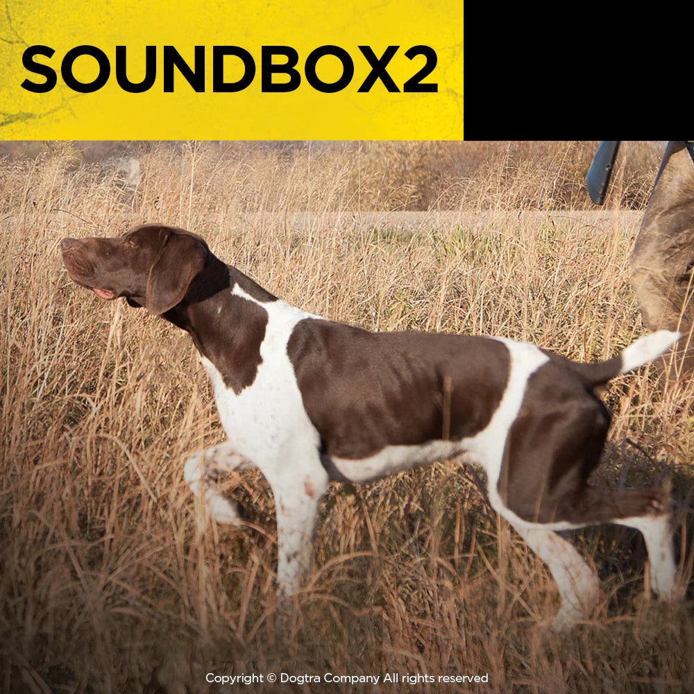 Dogtra Sound Box for Remote Trainers Version 2 Black