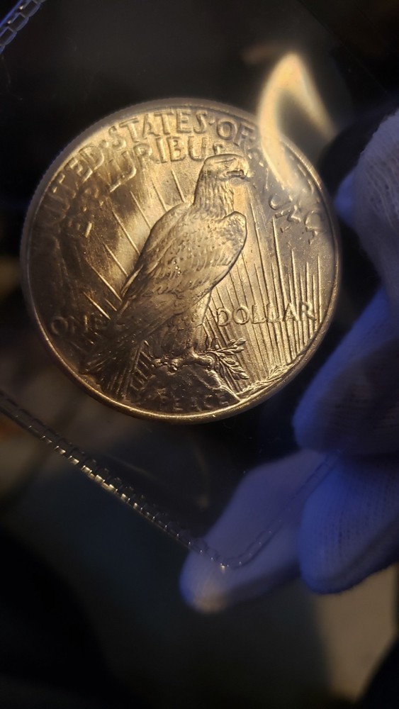1925 P Peace Dollar BU