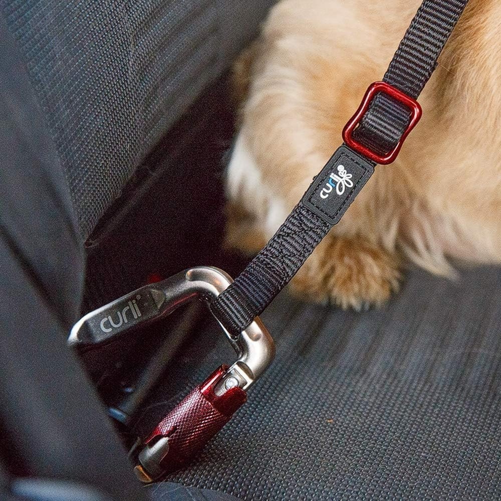 Car Safety Belt 60cm