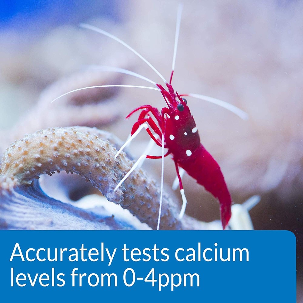 API Calcium Ca2 Saltwater Aquarium Test Kit