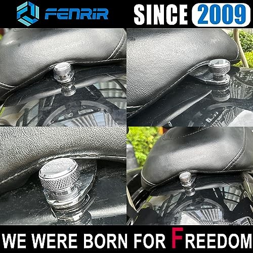 Silver Quick Release Motorcycle Fender - Silver Screws & Base