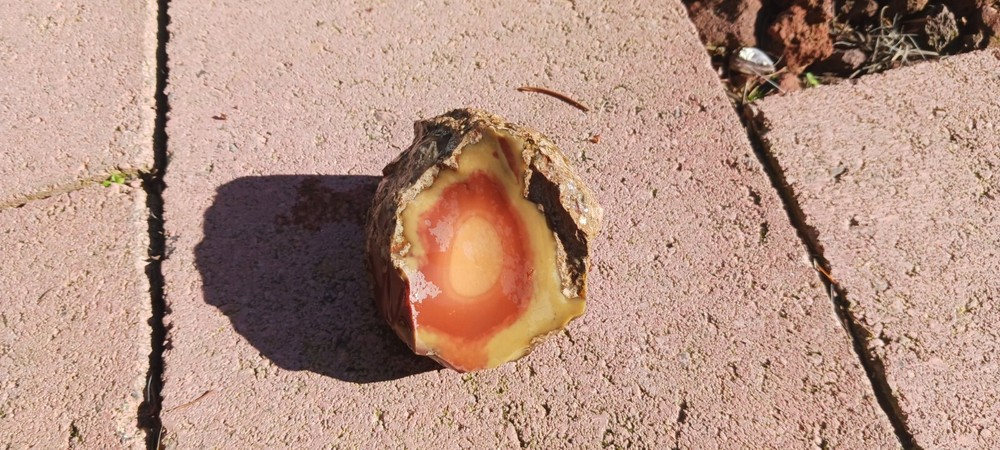 Bruneau Jasper Rough Old Stock