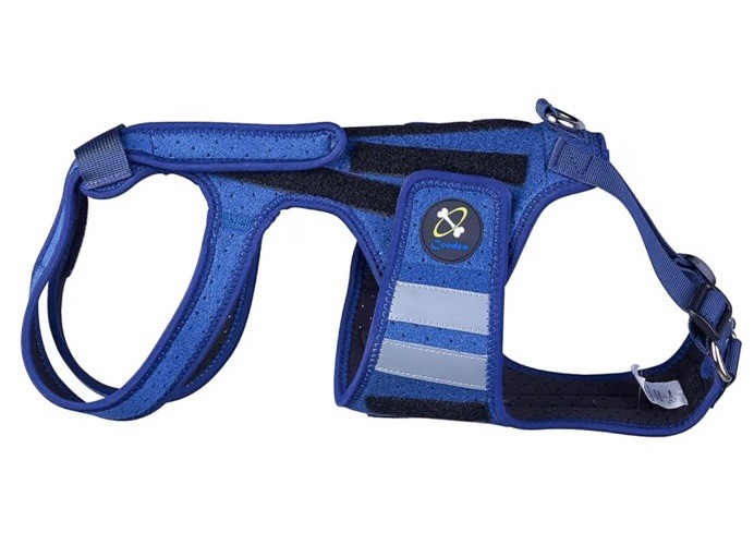 NEW Coodeo Small Dog Back Brace For Mobility