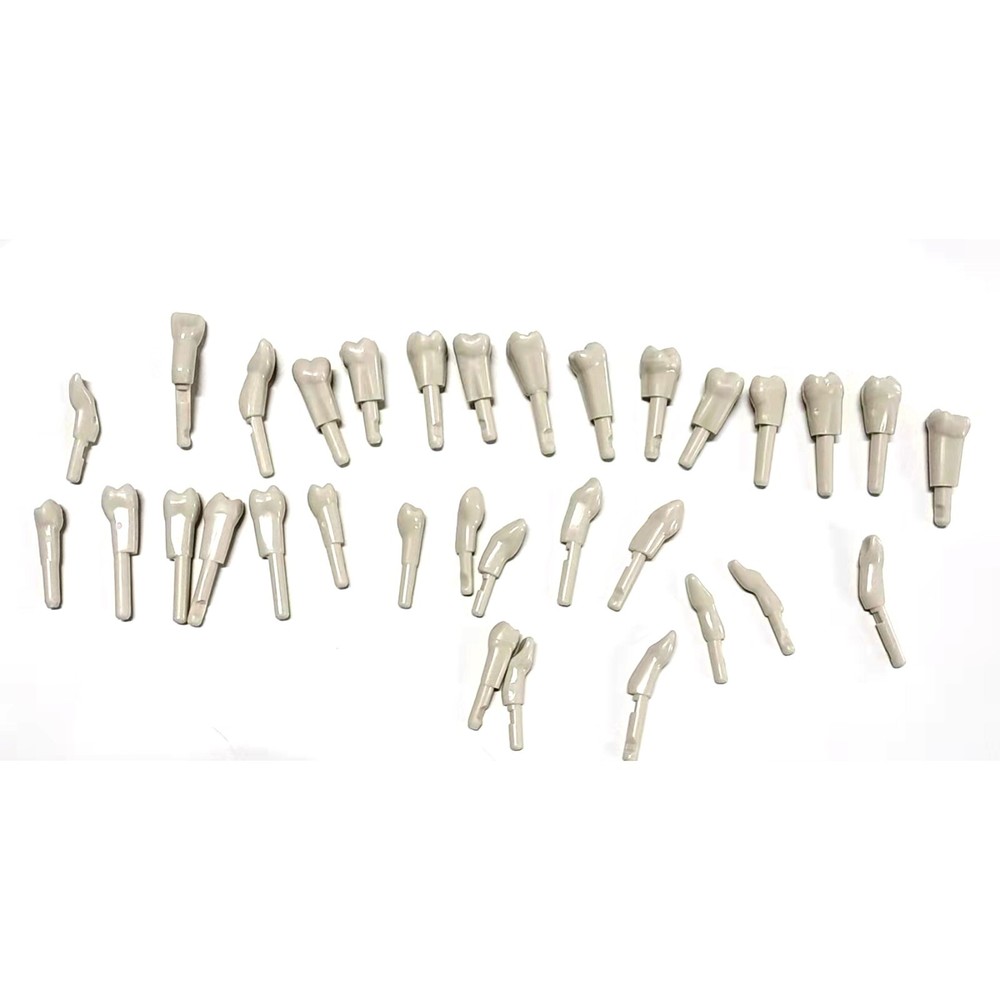 32Pcs Dental Replace teeth Model for KaVo Basic Model teeth Retention Mechanism