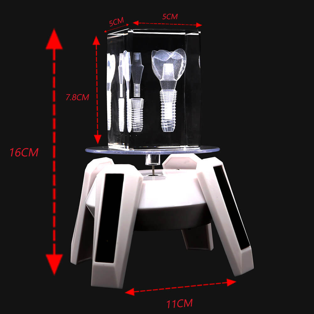 Dental Crystal molar implants plastic teeth model with rotary base