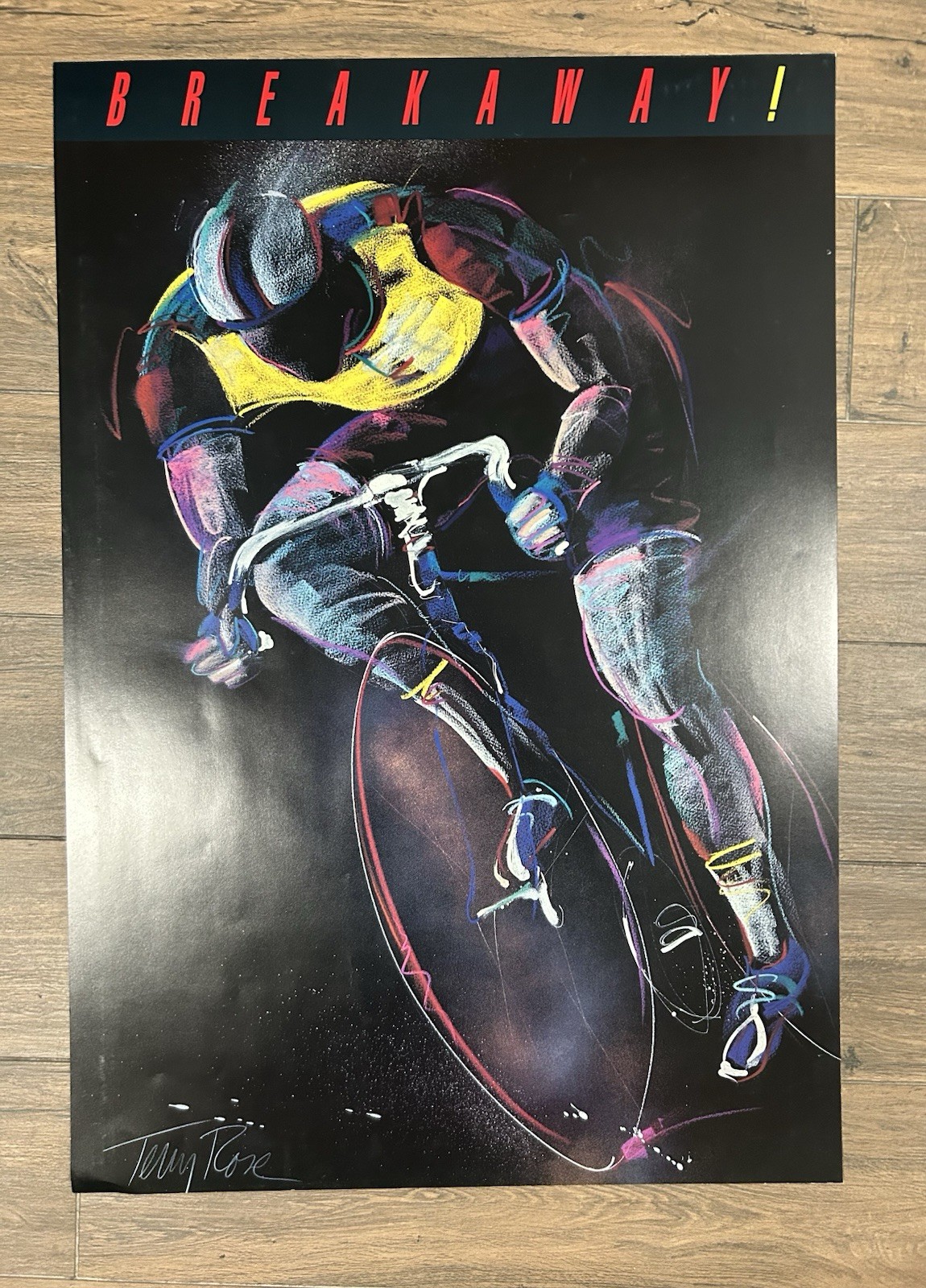 Vintage Bicycle Poster Lot - Near Mint Condition - 9 posters