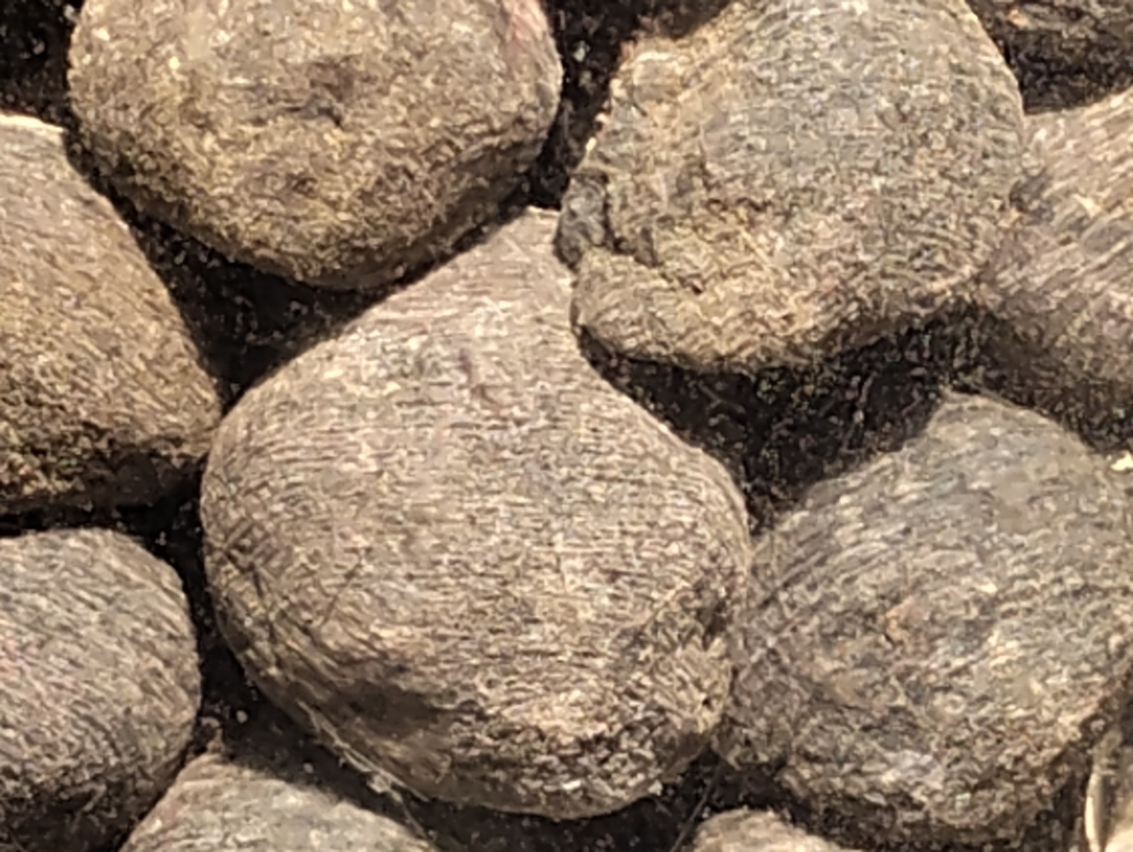 Vintage Pilot Knob Pellet Co. Iron Pellets - Missouri Mining History -...