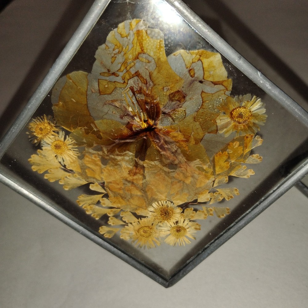 Pressed Flower Window Suncatcher x 2