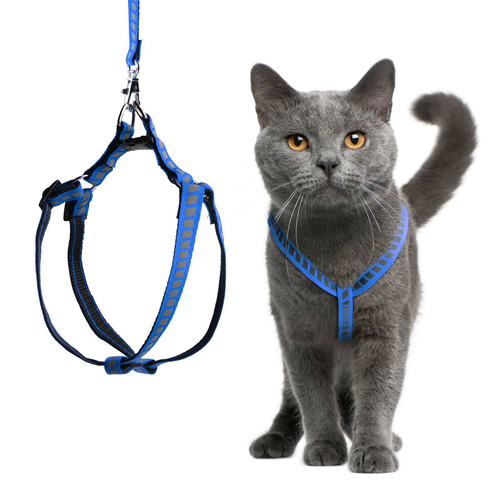 Filbert Cat Harness and Leash Set with Reflective Strip