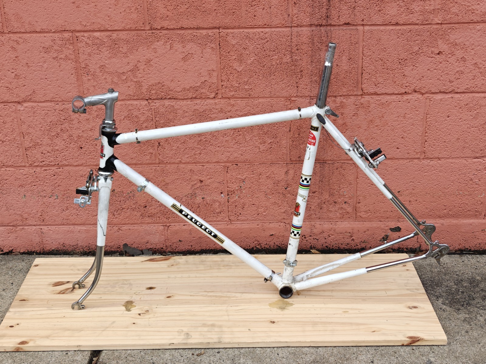 Peugeot PX-10 Vintage Bicycle Frame / Partial Bicycle 54/55cm