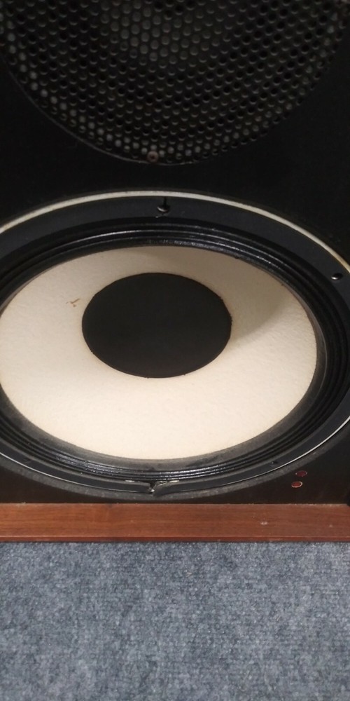 SAE Mark II Solid State Electrostatic Transducer Speakers