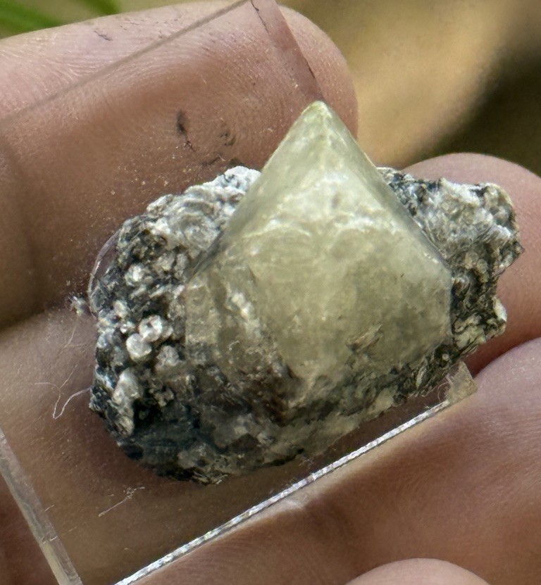 18 Grams Herderite On Matrix