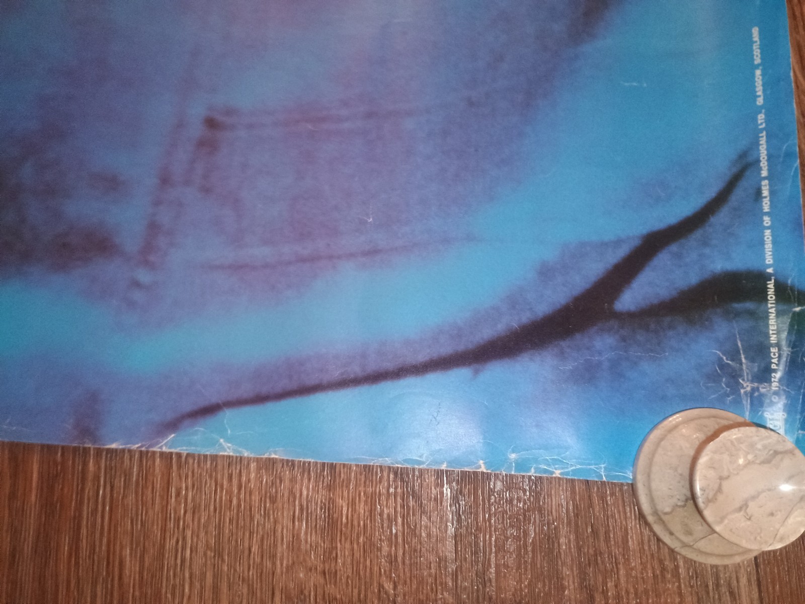 Elvis Presley Blue Suit Memorial 23x35 Poster 1972