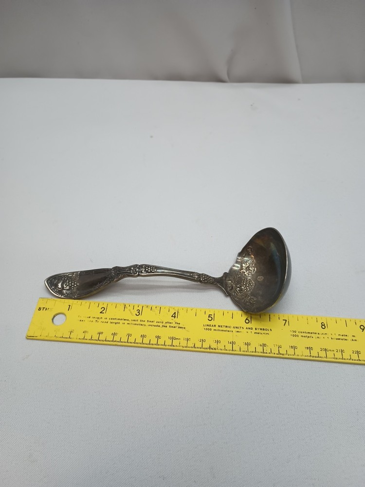 Wm. Rogers & Son IS Grapevine SILVERPLATE Dipping LADLE Spoon