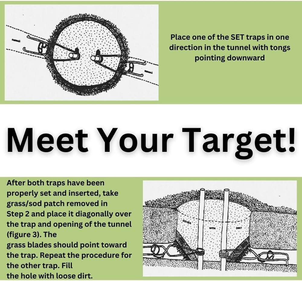 4 Count NoMol Underground Spring Traps – Lethal Pest Control for Gardens