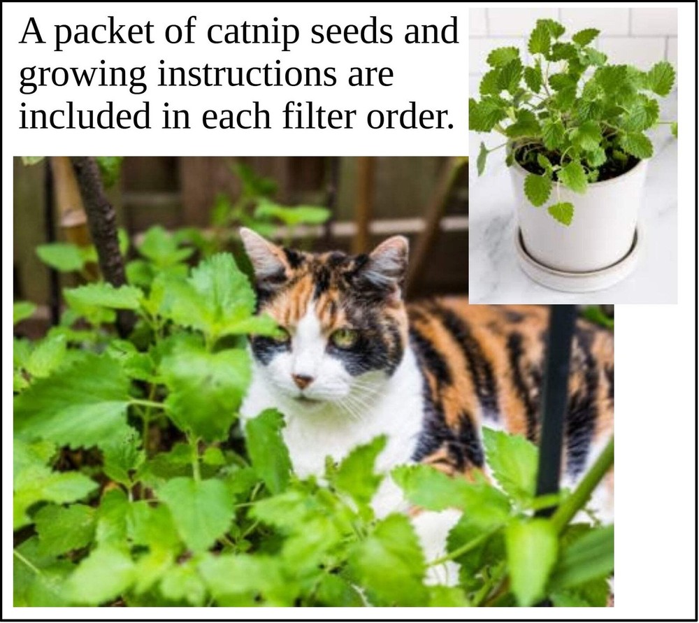 Purrified Air Product Bundle A
