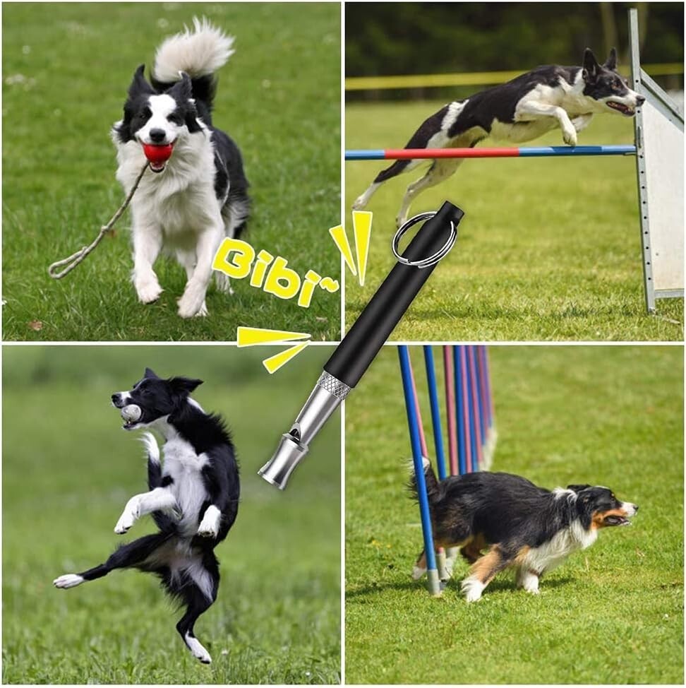 Adjustable Ultrasonic Dog Training Whistle - Silent and Effective Solution