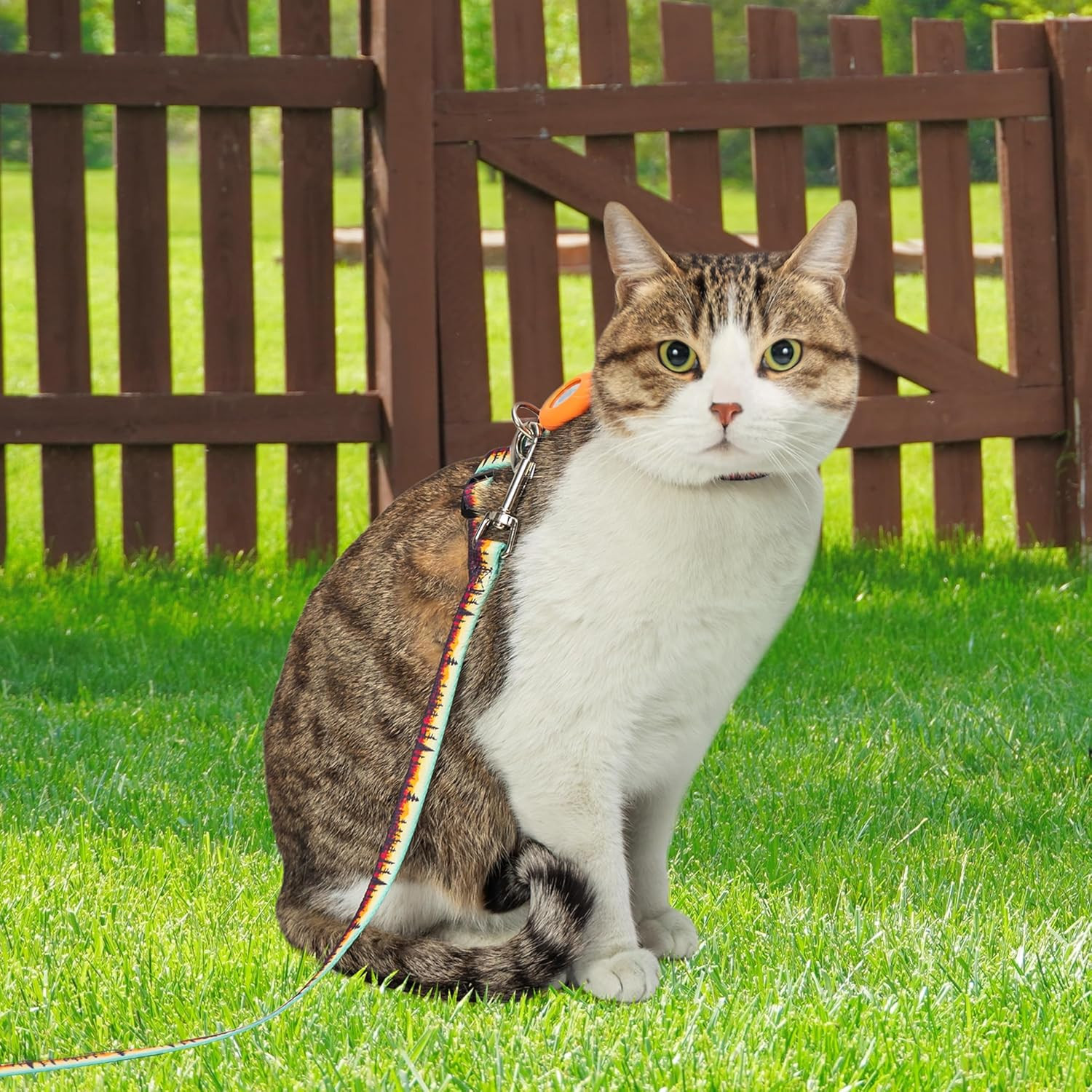Cat Harness with AirTag Holder & Leash – Escape Proof, Adjustable for Walking