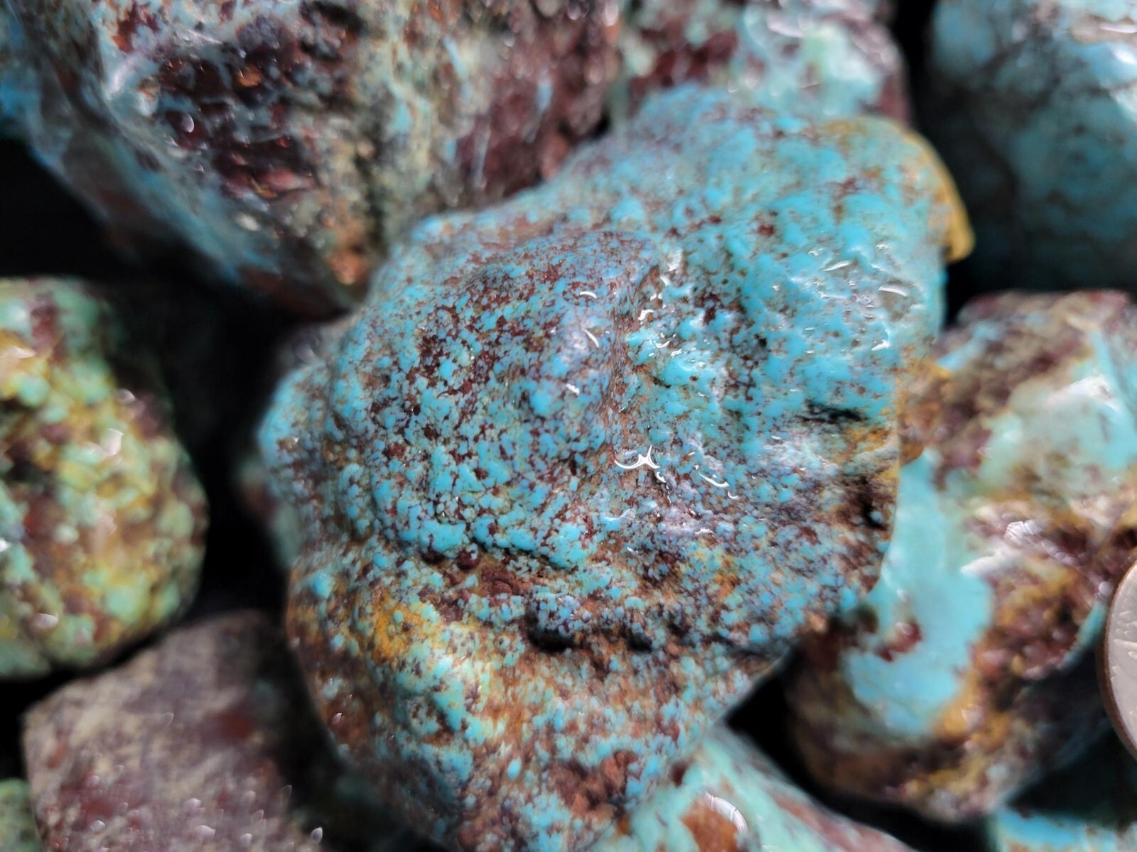 RARE Large Natural Bisbee Arizona Turquoise Rough Nuggets Half Pound