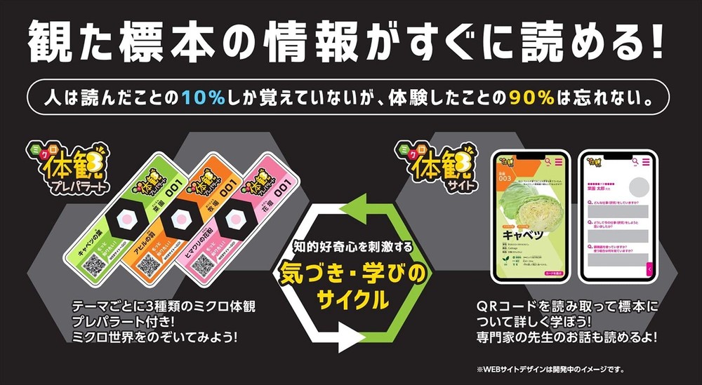 Raymay Fujii Handy Microscope ZOOM Micro Observation Set