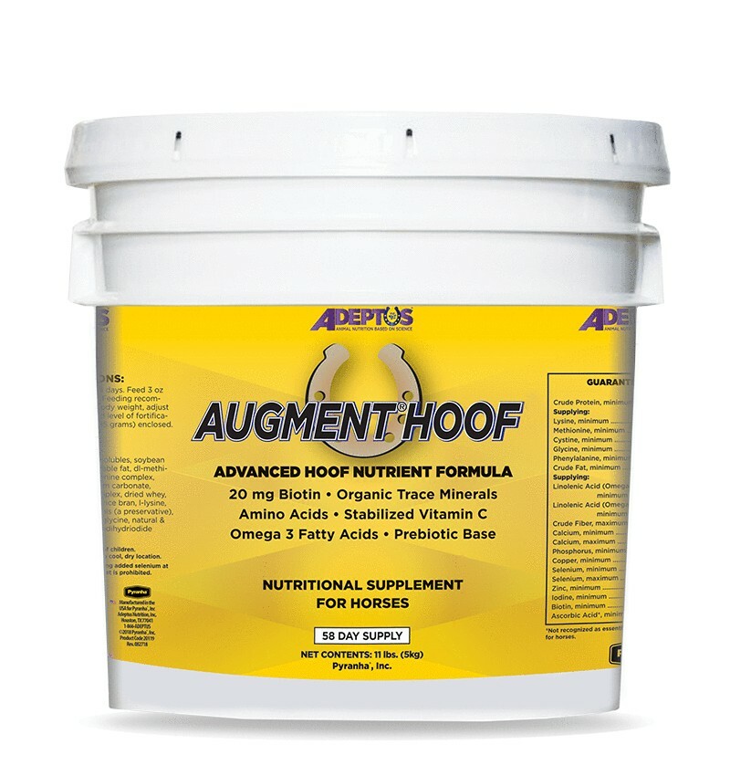 Adeptus Augment Hoof Supplement