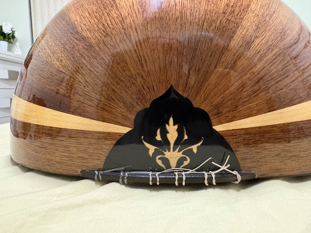 Professional oud instrument