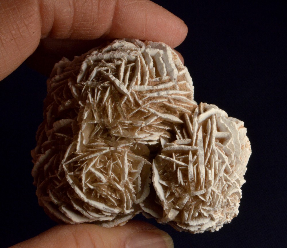 #8879 Selenite "Desert Rose" - Mexico