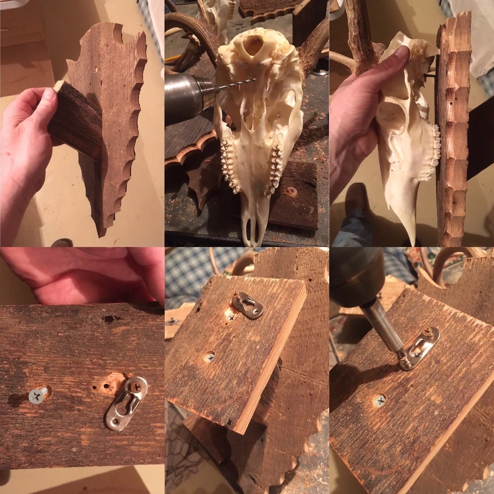 European Deer Skull Mount Wall / Table Pedestal Plaque Burned Pine Arrowhead