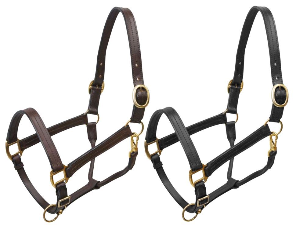 Large HORSE Size Adjustable LEATHER HALTER with BRASS Hardware