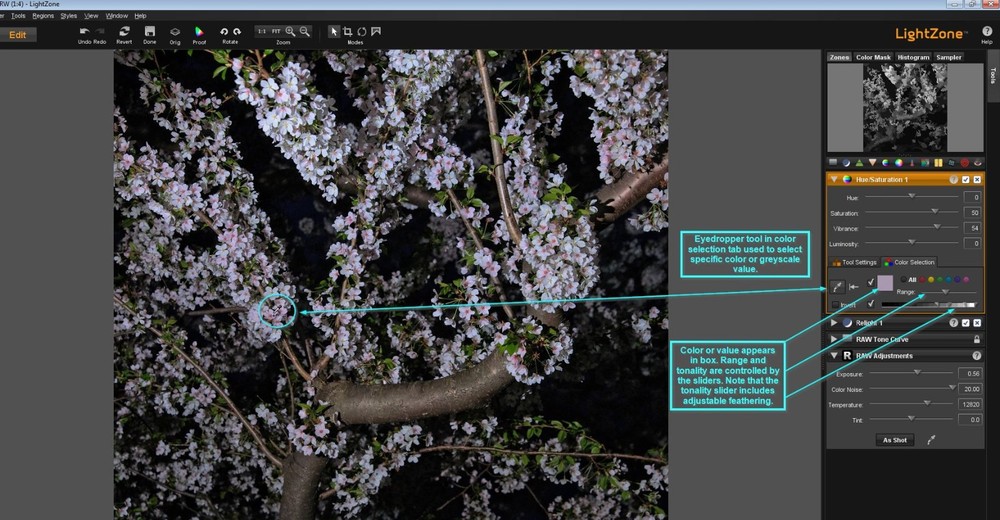 Pro Digital Photo Camera RAW Image Editing Lightroom-Darkroom Software Program