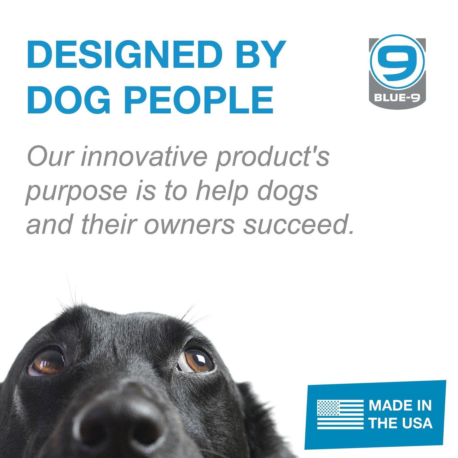 Blue-9 Buckle-Neck Balance Harness, Fully M (Ribcage: 21"-32"), Purple