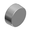 THOMAS & BETTS PLG2-TB 3/4" XP Recessed Plug With Flush Head