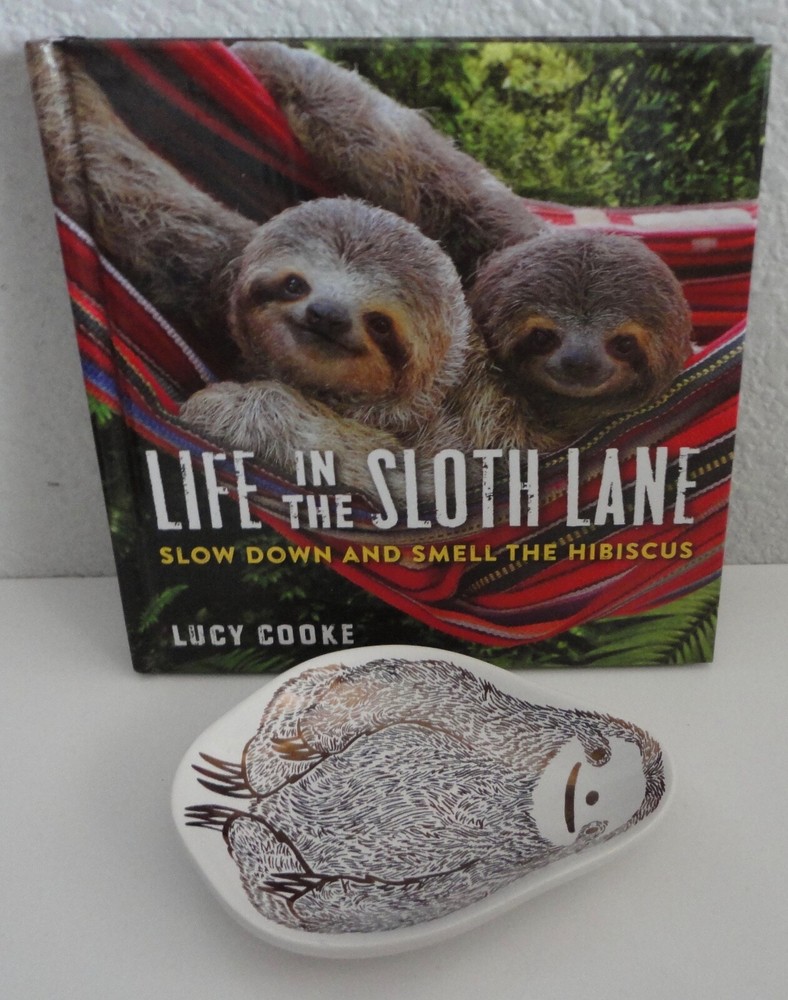 Sloth Book & Ring Dish