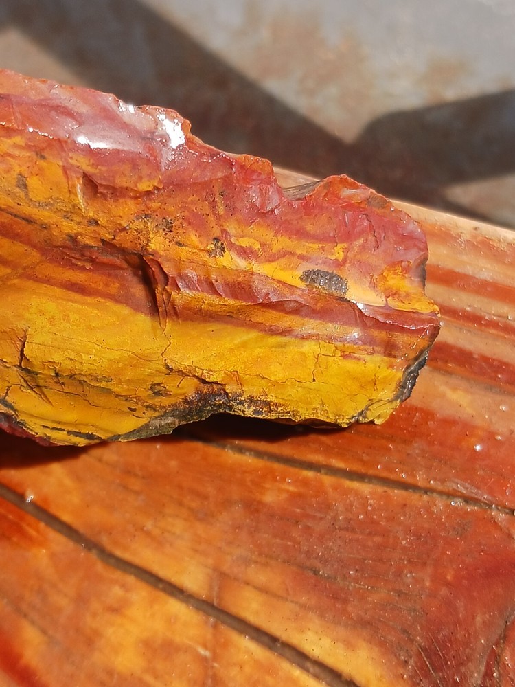Jasper Slice Rough Specimen Tumble Cab Or Slab Collect Display