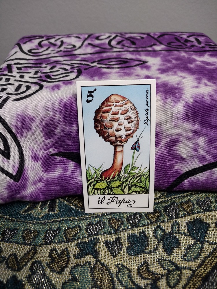 Fungus Tarot by Meneghello 1987