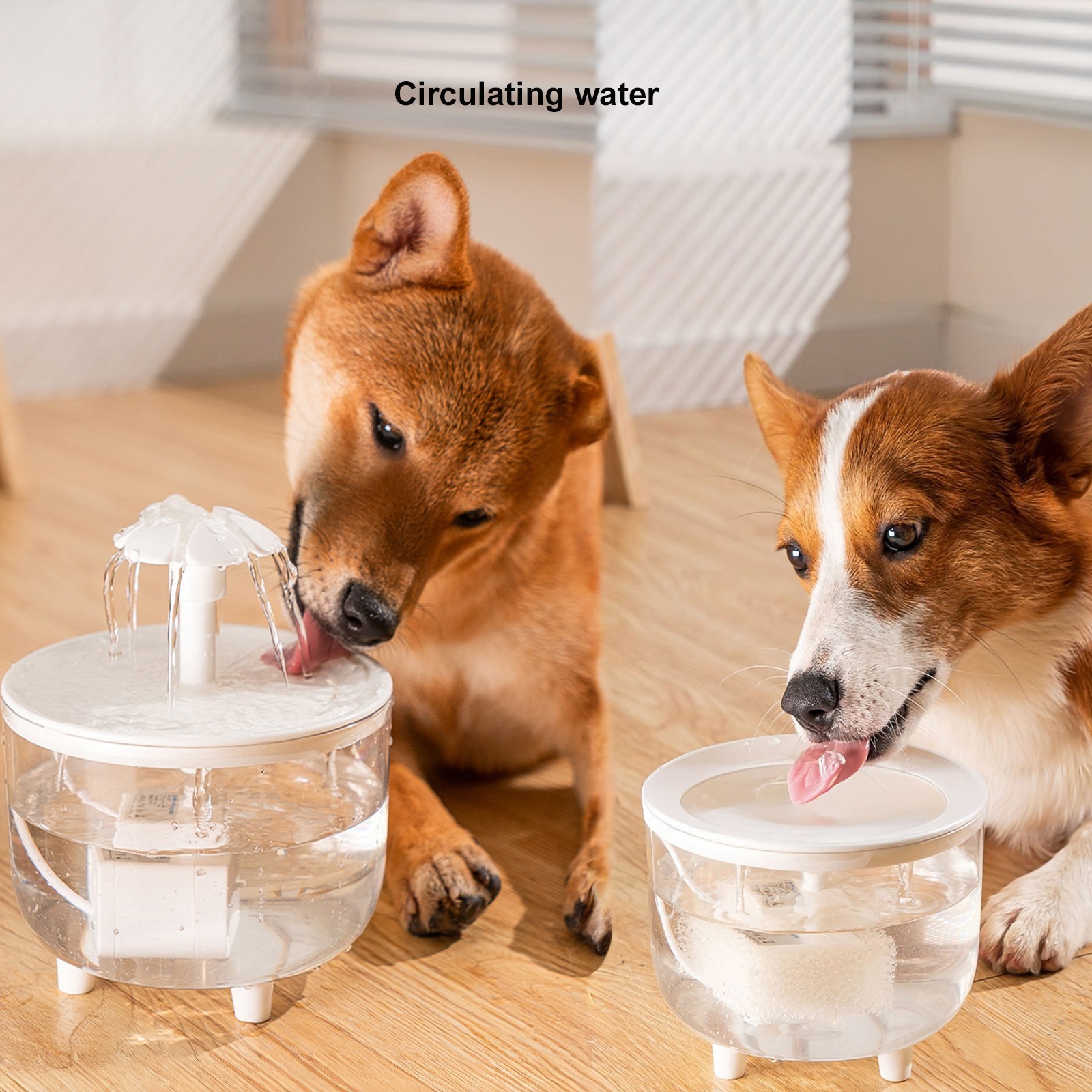 Cat Water Fountain Transparent Automatic Dog Cat Fountain Circulating Water Bowl