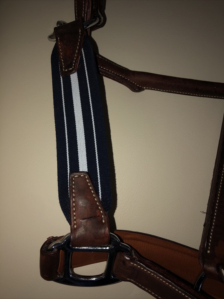 Antares Elastic Stressless Halter Horse Size 2