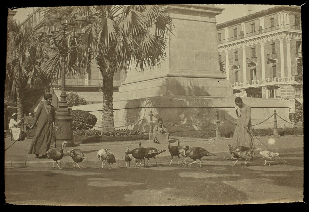 ANTIQUE Magic Lantern Slide CAIRO TURKEYS C1910 PHOTO EGYPT
