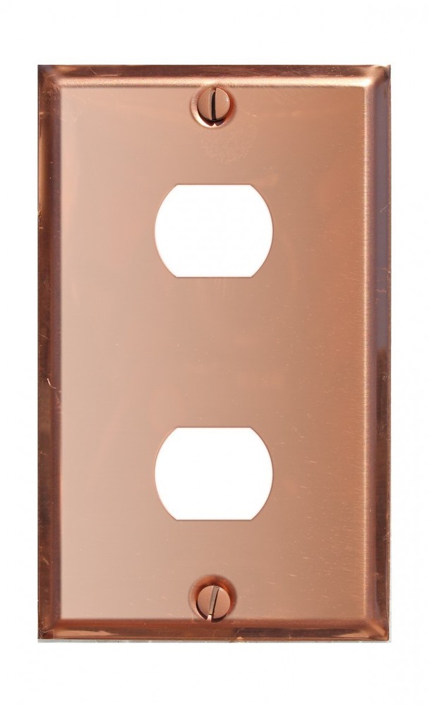 Switchplate Solid Copper 2 Interchangeable/Despard | Renovator's Supply