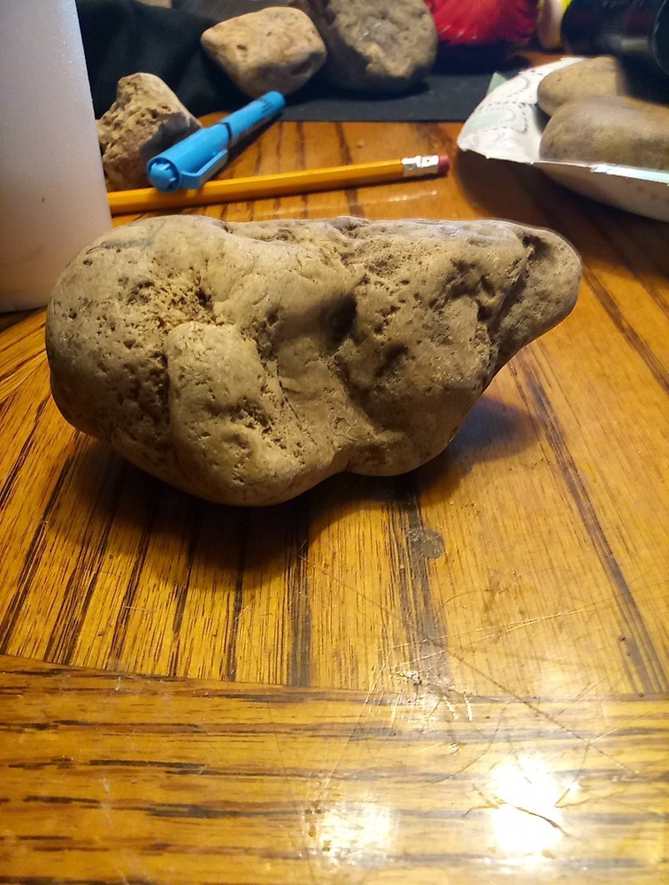 Fossils