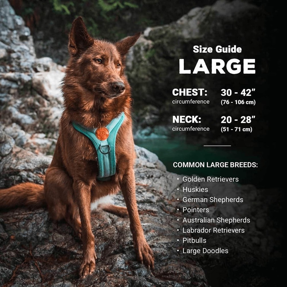 Lightweight Dog Harness with Reflective Straps - Large - Olive