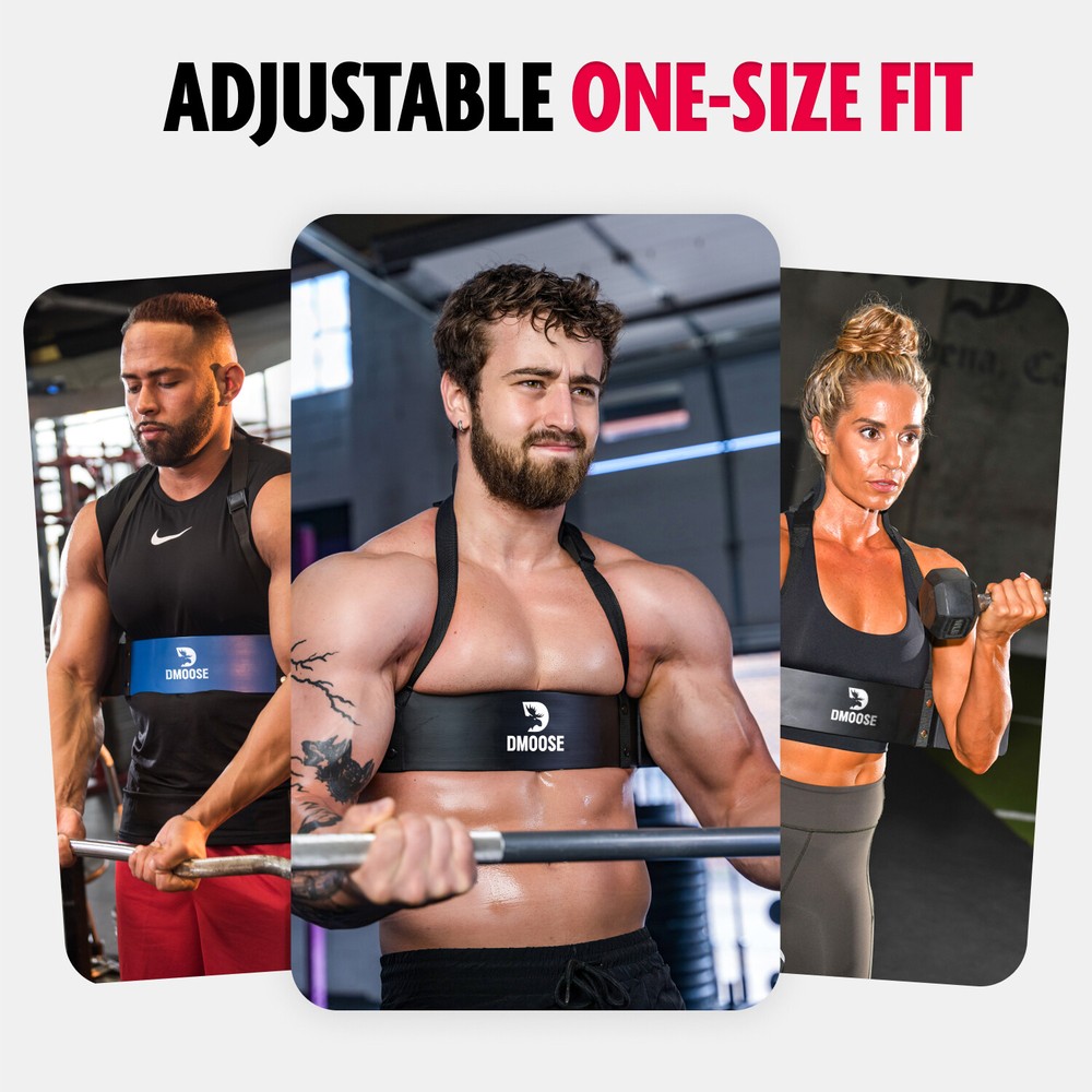 DMoose Arm Blaster for Bigger Biceps & Triceps, Isolation Training Workout