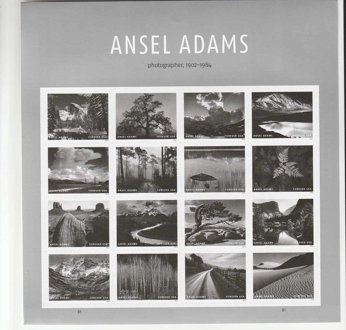 Scott #  5854   Ansel Adams   16 stamps  M/NH OG  Free Ship