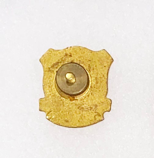 134th Infantry DI SB