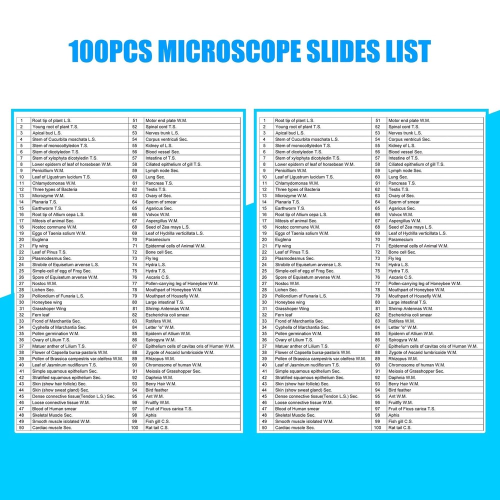 Prepared Microscope Slides 100pcs