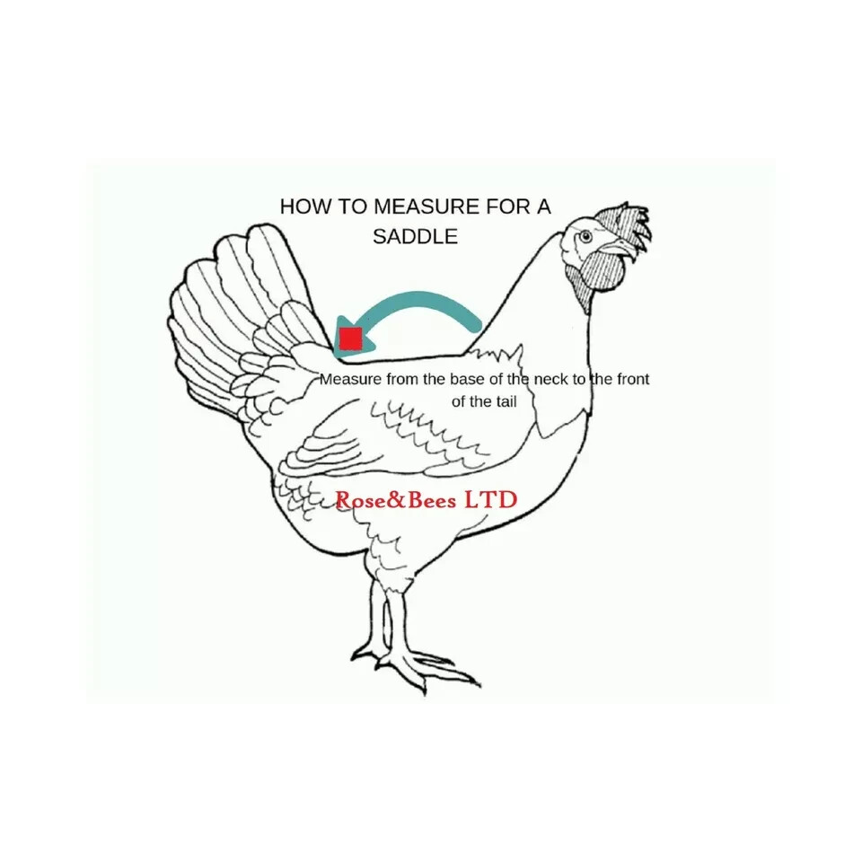 Elasticated Chicken Saddle Apron Hen Feather Protector Ducks Poultry | Egg Layer