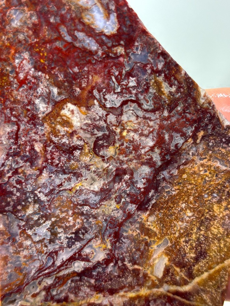 Mexican Red Moss Agate Slab Lapidary Cabbing Combo Ship Avail